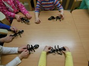 Workshop o životě mravenců